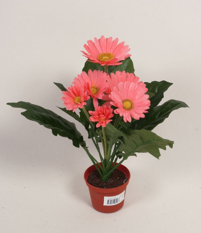 108-1-22 Gerbera | Living Home